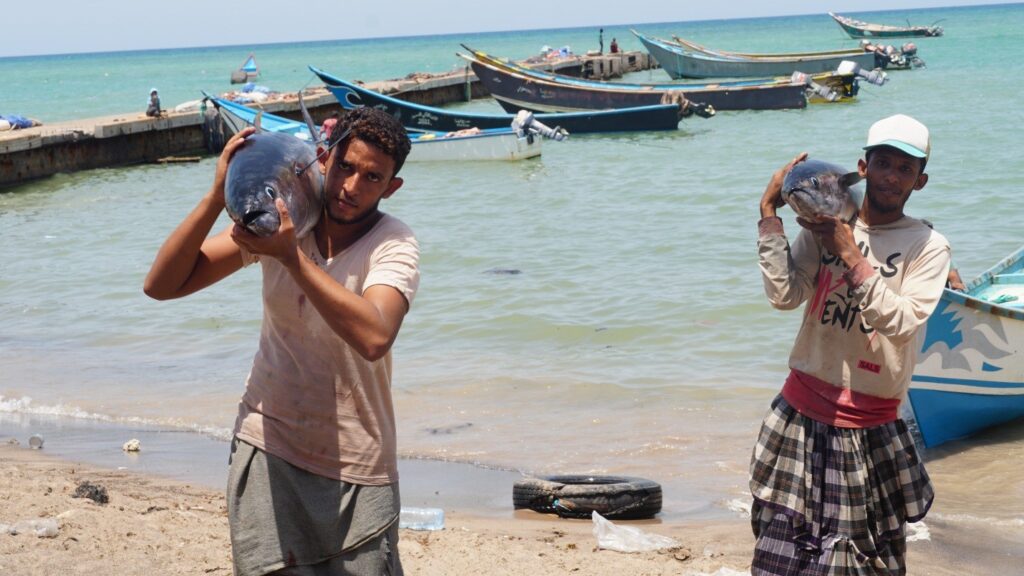 Yemen: restoring fishing-based livelihoods - CARE Yemen