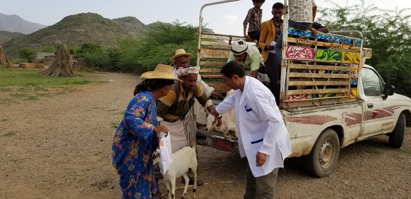 A group of people standing next to a truck with a goat