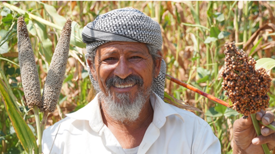A man in a field of corn