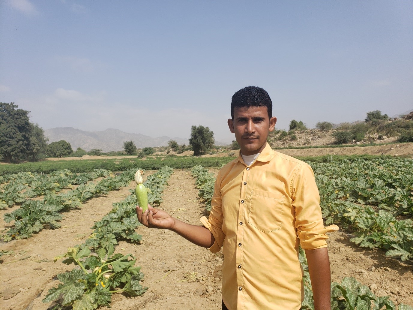 A man holding a vegetable in a field